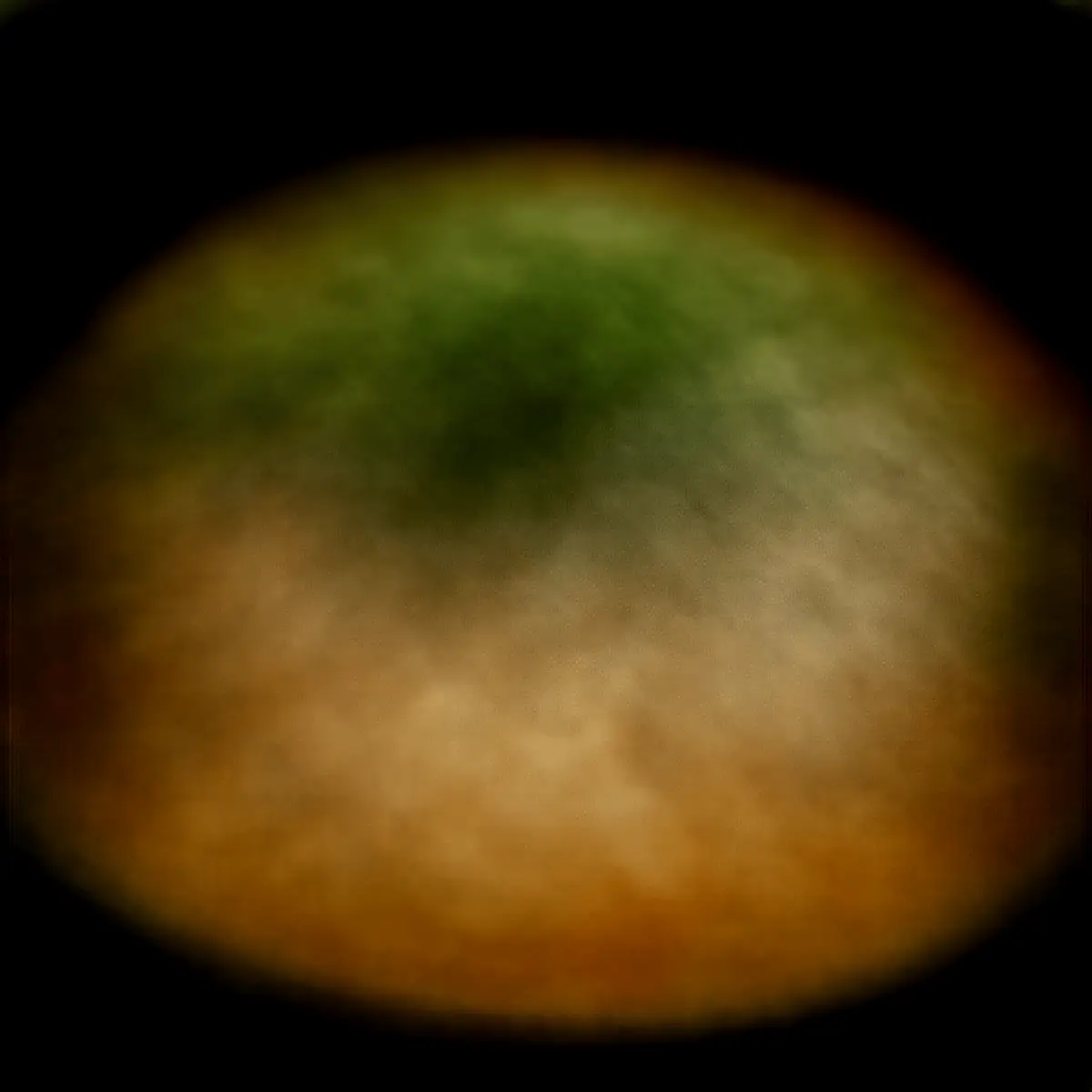 Heirate mich Huhn Ramen